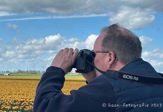 Tulpenblüte in Holland 2024