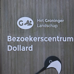 Seehunde-Beobachtungswand