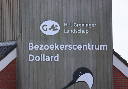 Seehunde-Beobachtungswand 